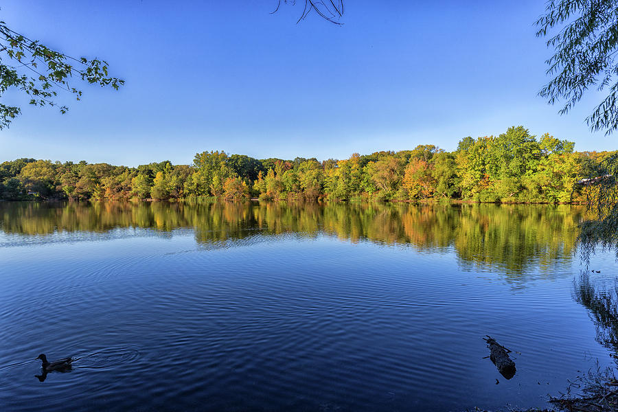 Clear Skies over Turners Pond in Milton Massachusetts Photograph by Brian MacLean
