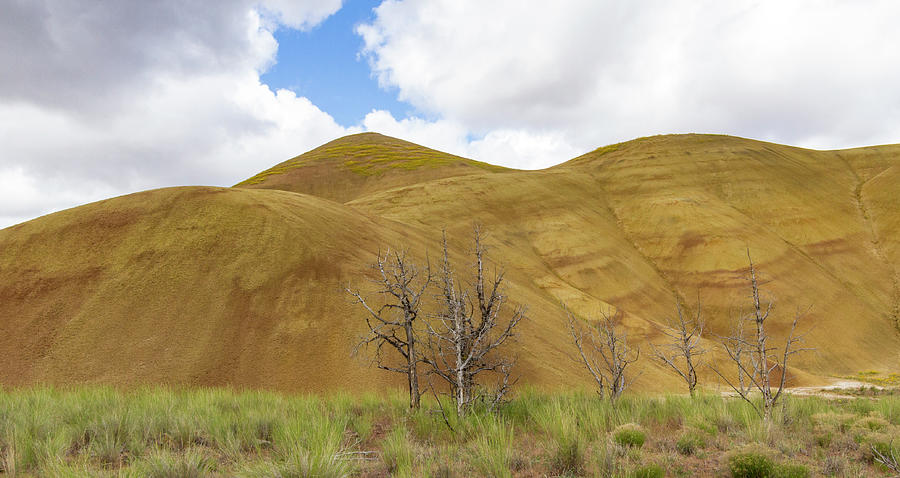 Clear Sky at Painted Hills Photograph by Jean Noren