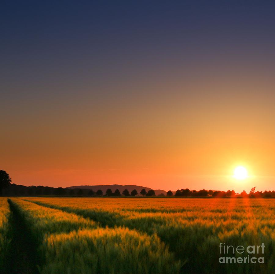 Clear Sunset Photograph by Franziskus Pfleghart