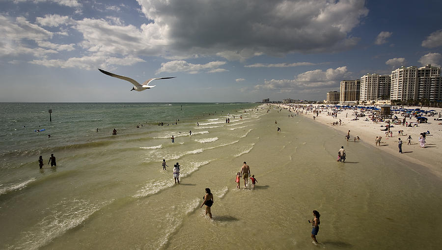 Tampa Photograph - Clear Water Beach by Patrick Ziegler