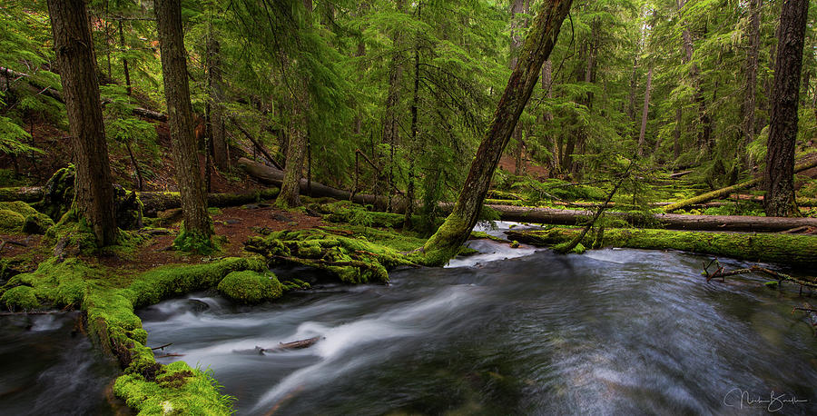 Clear Water Creek Photograph by Nick Borelli | Pixels