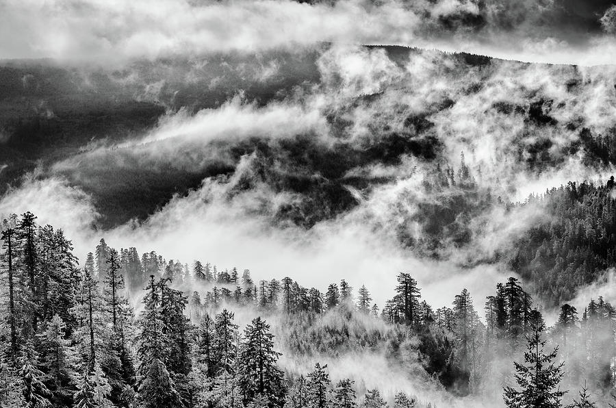 Clearing of Winter Storm Photograph by Greg Nyquist