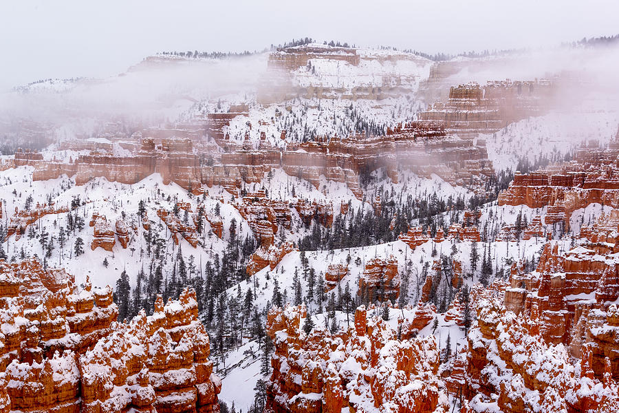 Clearing Snowstorm in Bryce Canyon  Photograph by Joe Doherty