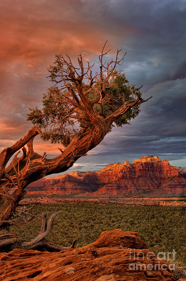 Clearing Storm And West Temple South Of Zion National Park Photograph by Dave Welling