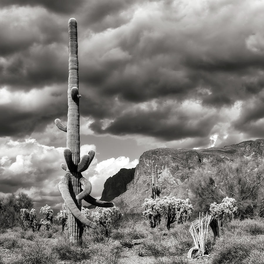 Clearing Storm Photograph by Mark Abercrombie - Fine Art America