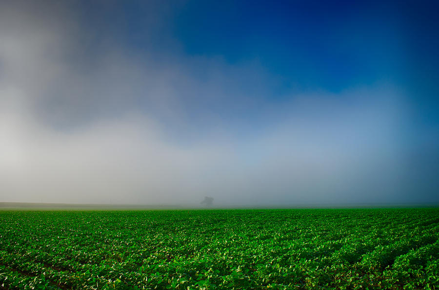 Clearing The Fog Photograph