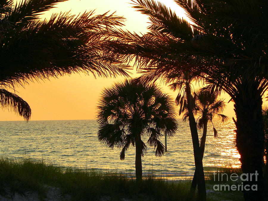 Clearwater Beach Sunset Photograph by Terri Mills