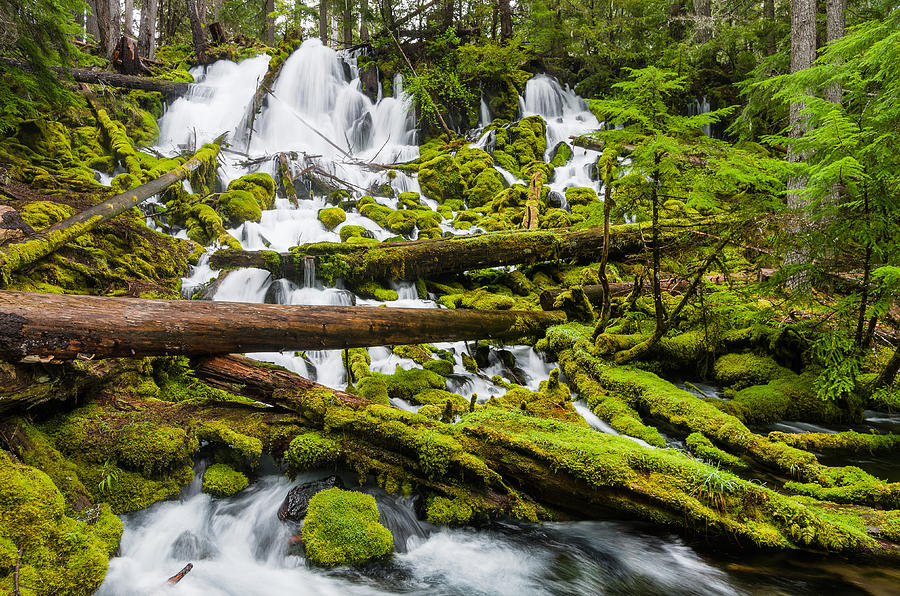 Clearwater Falls and Rapids Photograph by Greg Nyquist