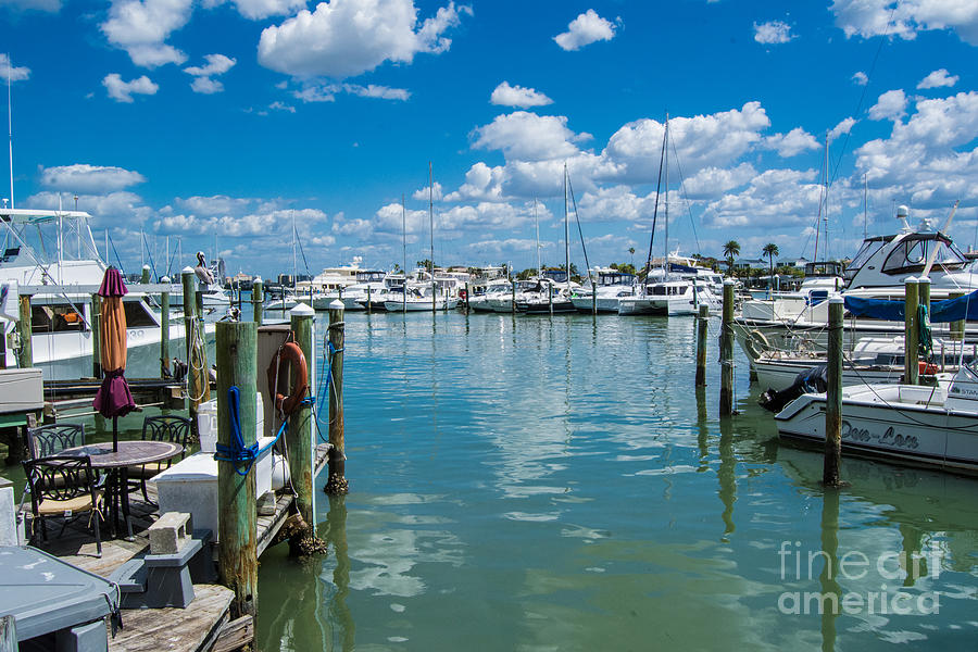Clearwater Marina Photograph by John Greco