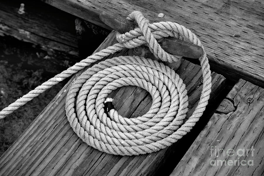 Cleat and Coil Photograph by Denise Bruchman