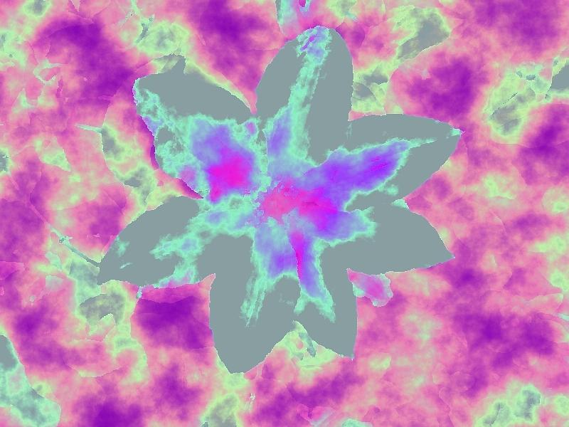 Clematis Flower Digital Art - Clematis Adjusted For Color by Art Speakman Clematis Flower Digital Art - Clematis Adjusted For Color by Art Speakman