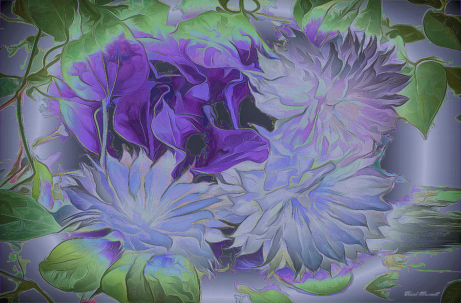 Abstract Photograph - Clematis by Frank Maxwell