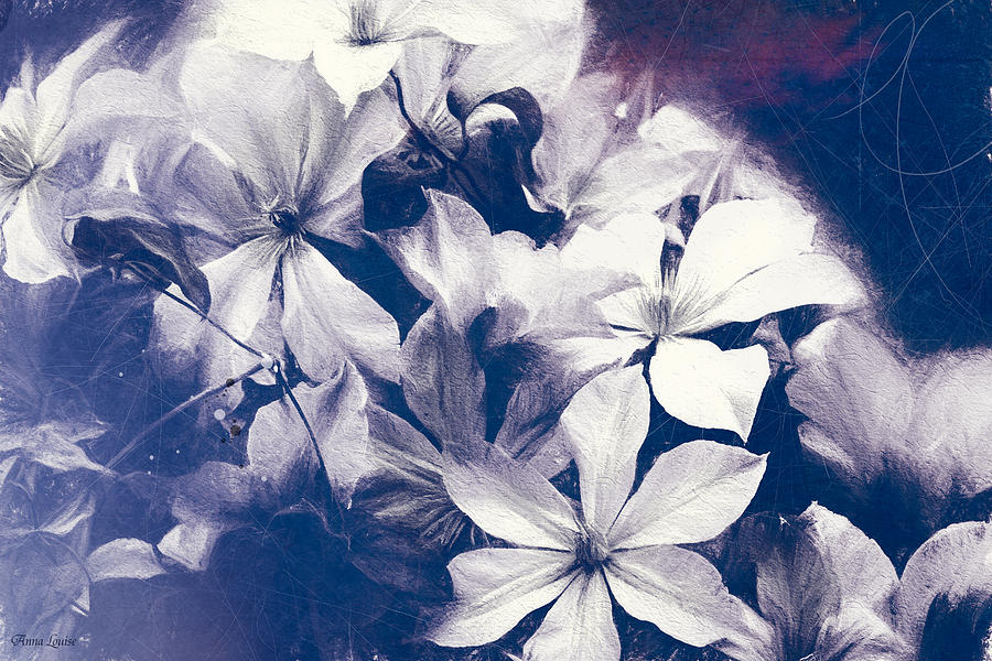 Clematis Grunge Photograph by Anna Louise