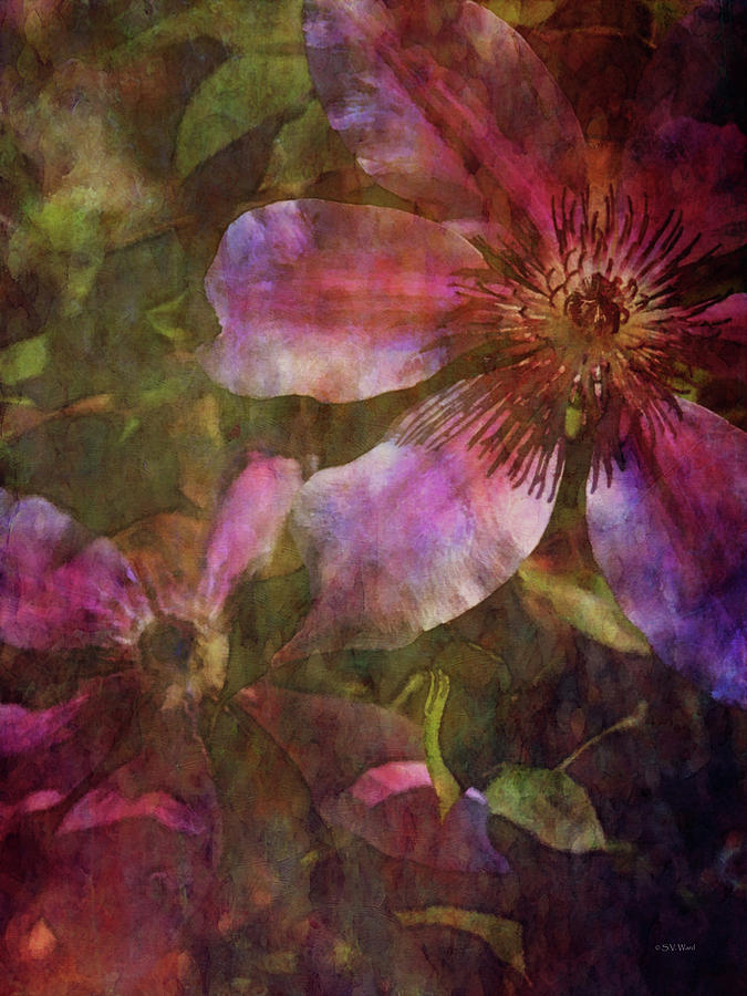 Clematis Layers 9544 IDP_2 Photograph by Steven Ward
