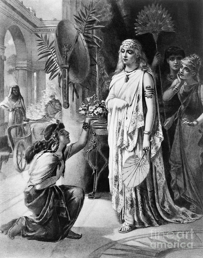 Queen Drawing - Cleopatra Vii. by Granger