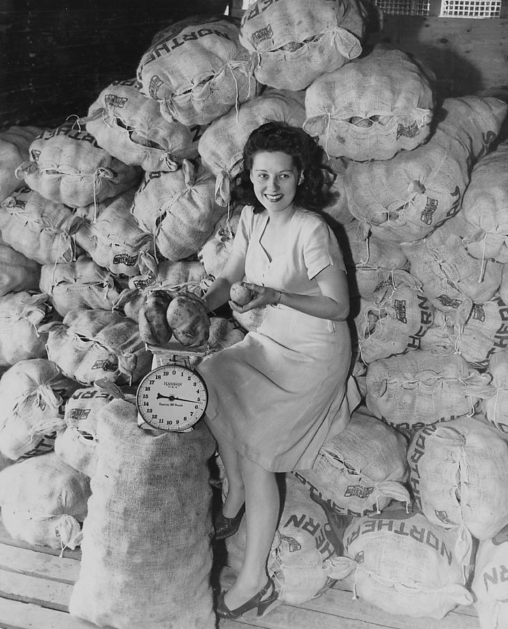 Clerk Seated in Mountain of Spuds on Wood Street Photograph by Chicago and North Western Historical Society