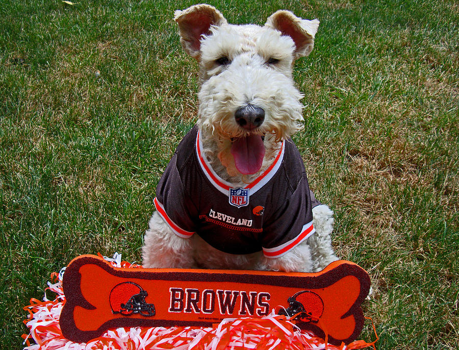 Cleveland Browns Fan			 Photograph by Michiale Schneider