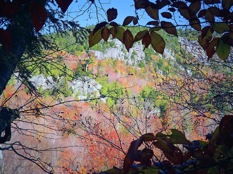 Fall Photograph - Cliff 4 by Joseph F Safin