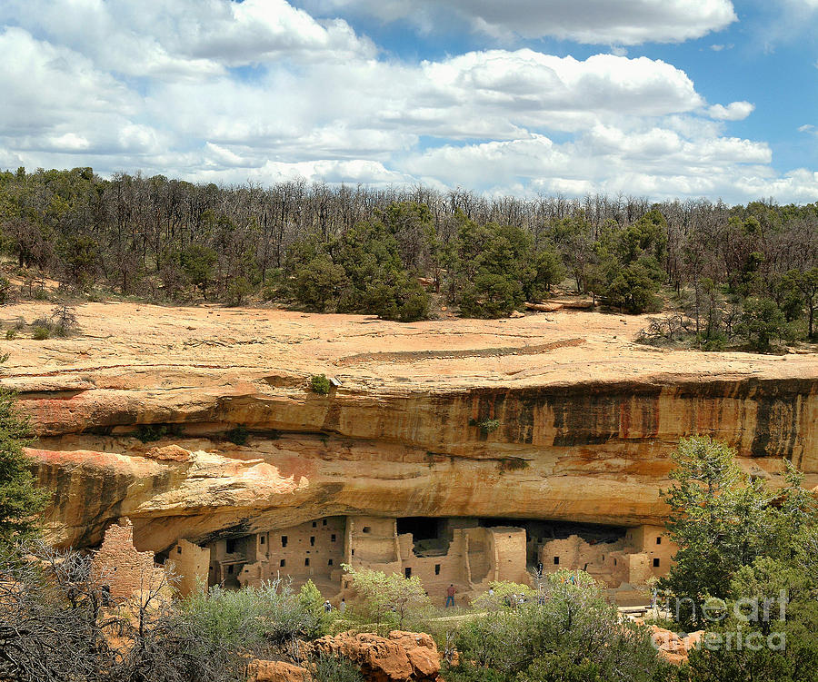 Cliff Dwellings Of Mesa Verde Photograph by Kenneth Murray