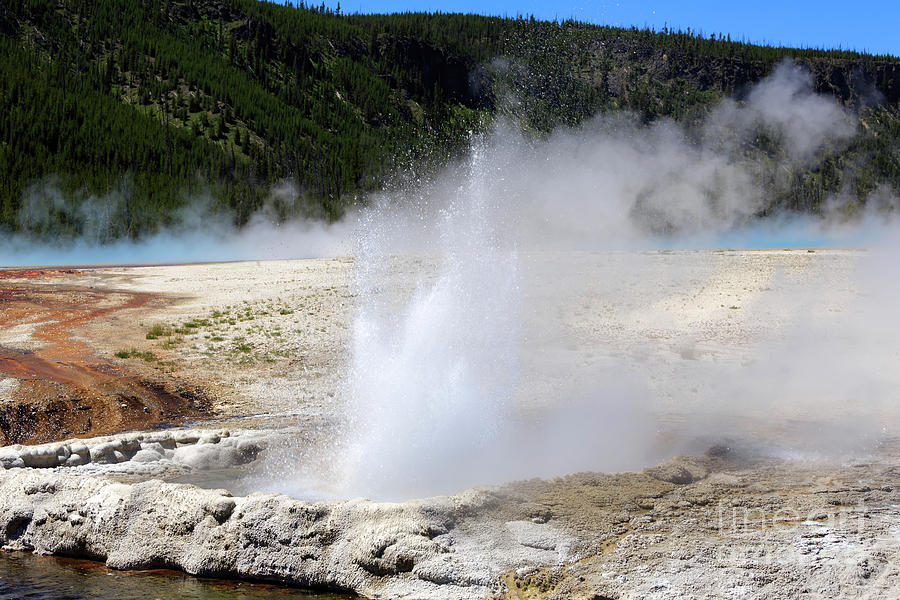 Cliff Geyser Black Sand Basin Yellowstone National Park Photograph by Louise Heusinkveld