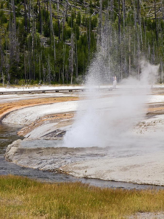 Yellowstone National Park Photograph - Cliff Geyser Erupting by Sally Weigand