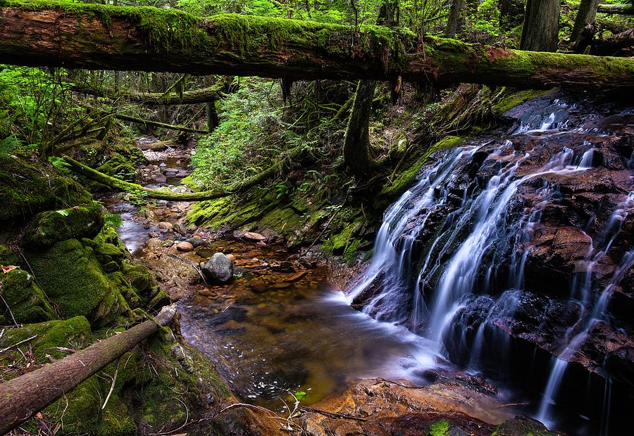 Cliff Gilker Park Photograph by Rand Ningali