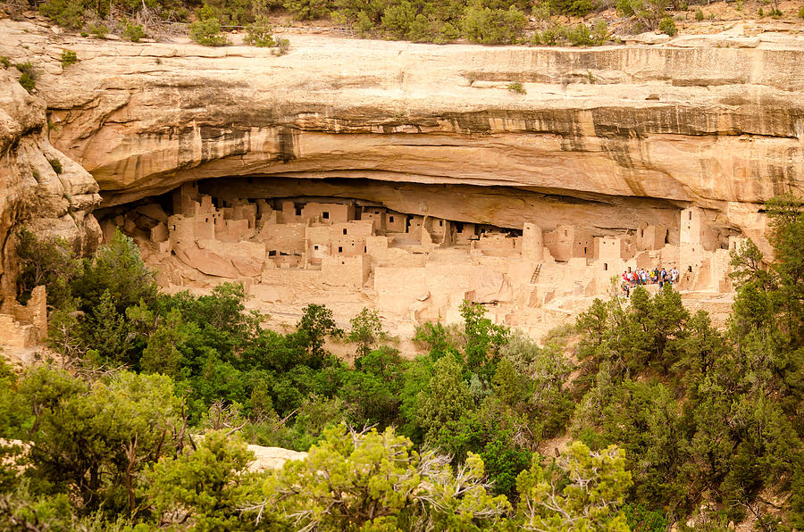 Cliff Palace at Mesa Verde National Park Photograph by Julie Gropp ...