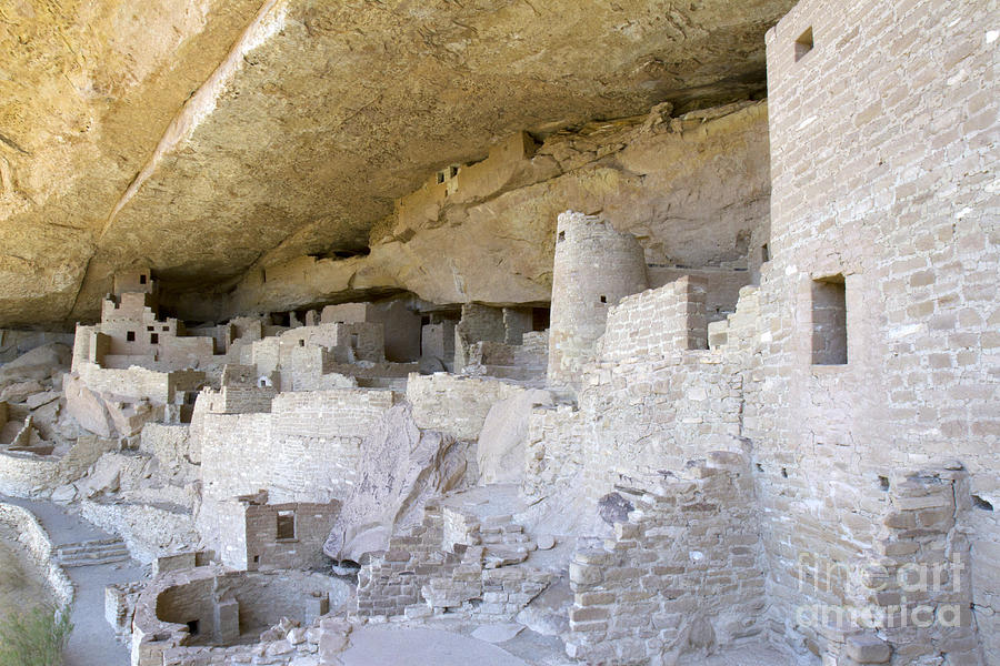 Cliff Palace Dwelling at Mesa Verde National Park Photograph by Karen Foley