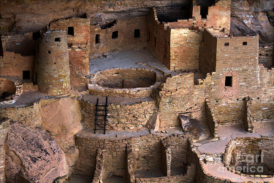 Cliff Palace in Mesa Verde Photograph by Catherine Sherman