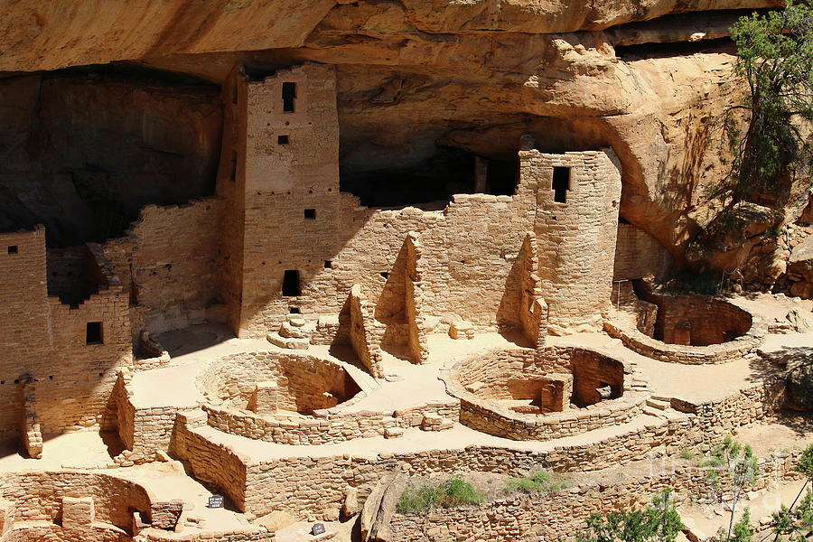 Cliff Palace - Mesa Verde Photograph by Christiane Schulze Art And Photography