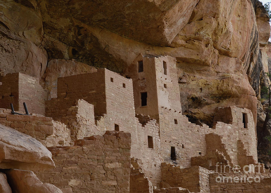 Cliff Palace Mesa Verde Photograph by Debby Pueschel
