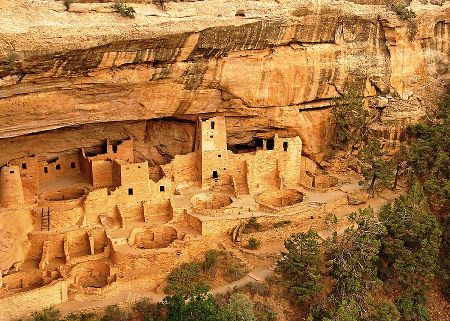 Cliff Palace Ruin Site Photograph By David Ross - Fine Art America