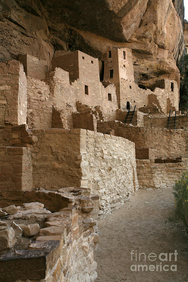 Cliff Palace Photograph by Timothy Johnson