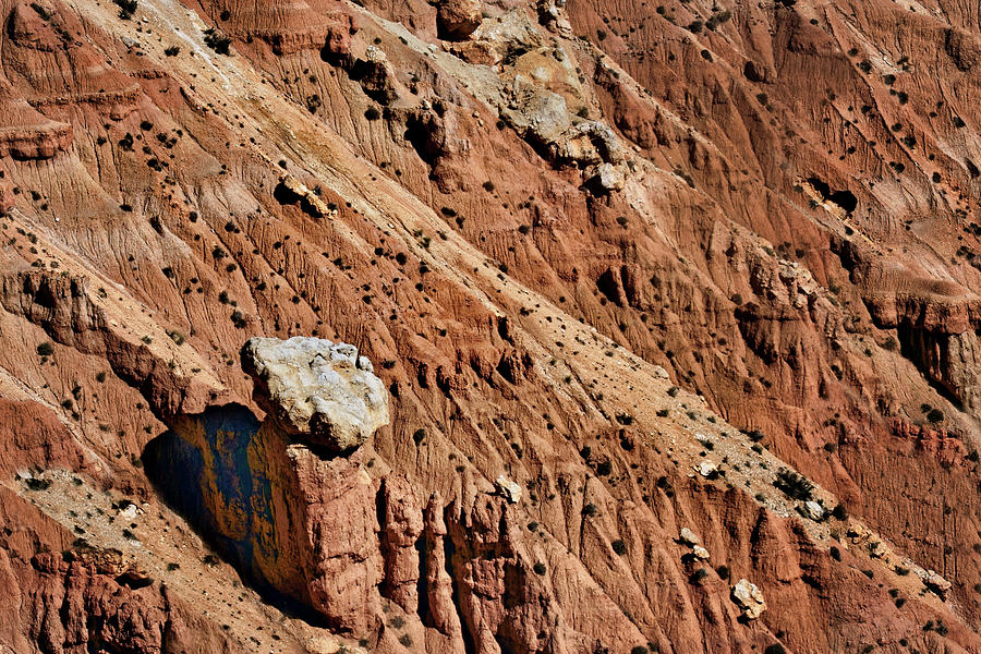 Cliffhanger - Bryce Canyon - National Park Photograph by Nikolyn McDonald