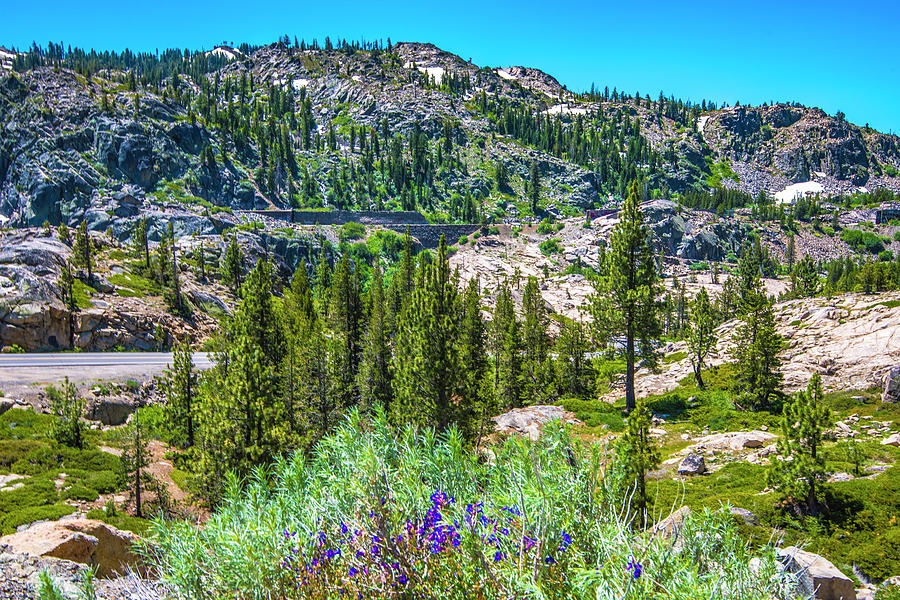 Cliffs Above Donner Lake II Photograph by Steven Ainsworth