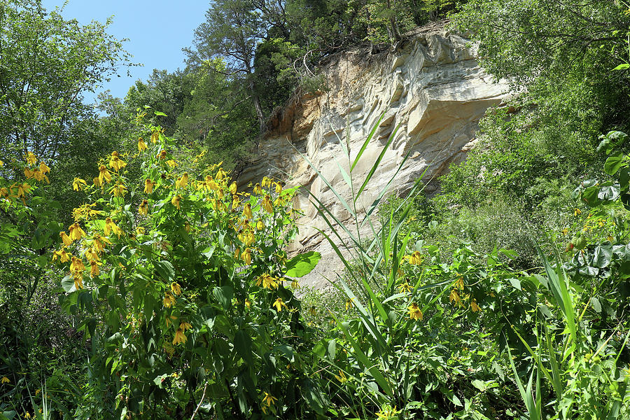 Cliffs and Coneflowers Photograph by Scott Kingery