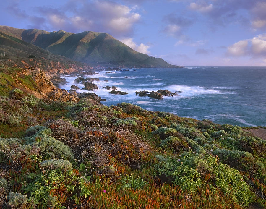 Cliffs And The Pacific Ocean Garrapata Photograph by Tim Fitzharris