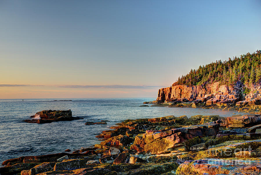 Cliffs on Otter Point Acadia National Park Photograph by Jean Hutchison