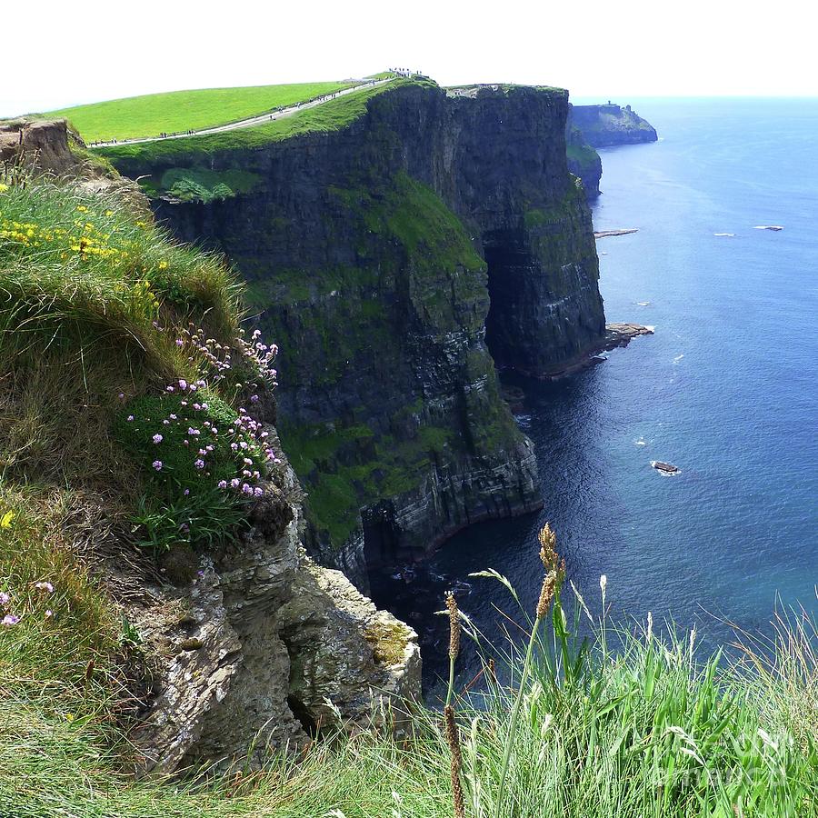 Cliffs of Moher Photograph by Barbie Corbett-Newmin