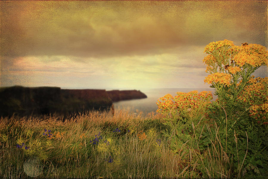Cliffs of Moher Photograph by Cybele Moon