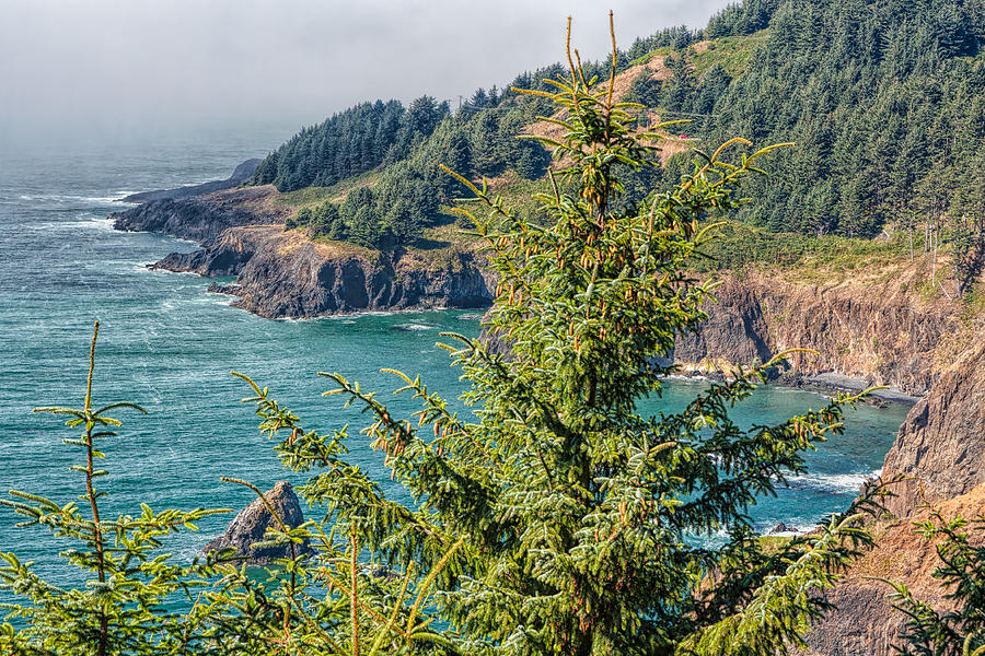 Cliffs Of Oregon Photograph