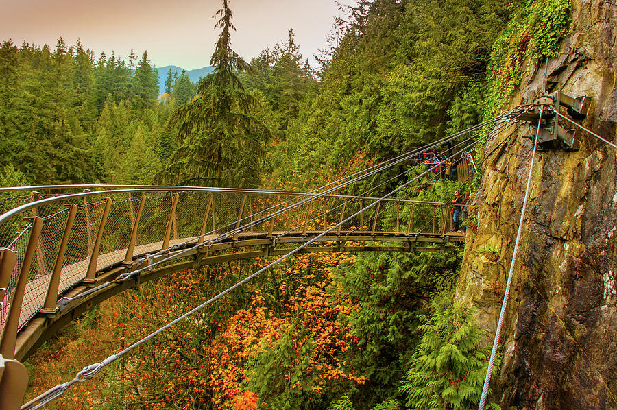 Cliffwalk At Capilano Suspension Bridge Park Photograph By Art Spectrum