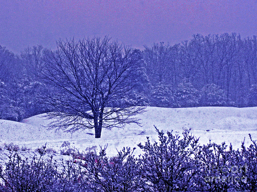Clifton VA Snow Storm Photograph by Larry Oskin