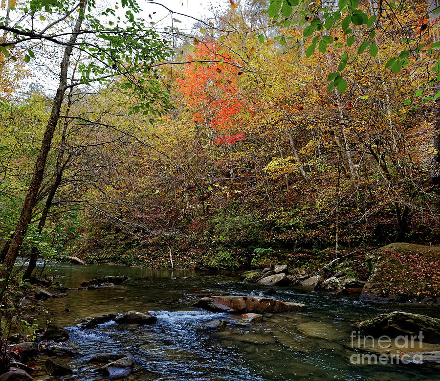Clifty Creek Fall Photograph