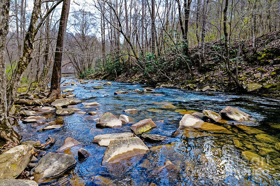 Clifty Creek Reflection Photograph by Paul Mashburn