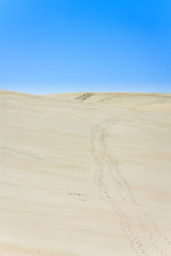 Climb the Dune Photograph by Joni Eskridge