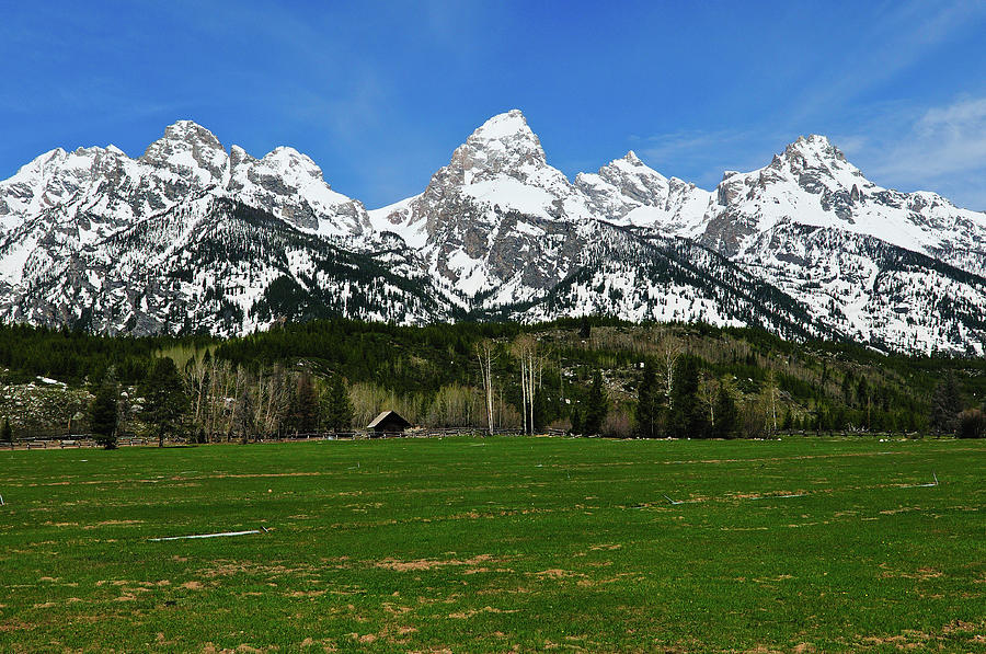 Grand Teton National Park Photograph - Climbers Ranch in Spring by Greg Norrell