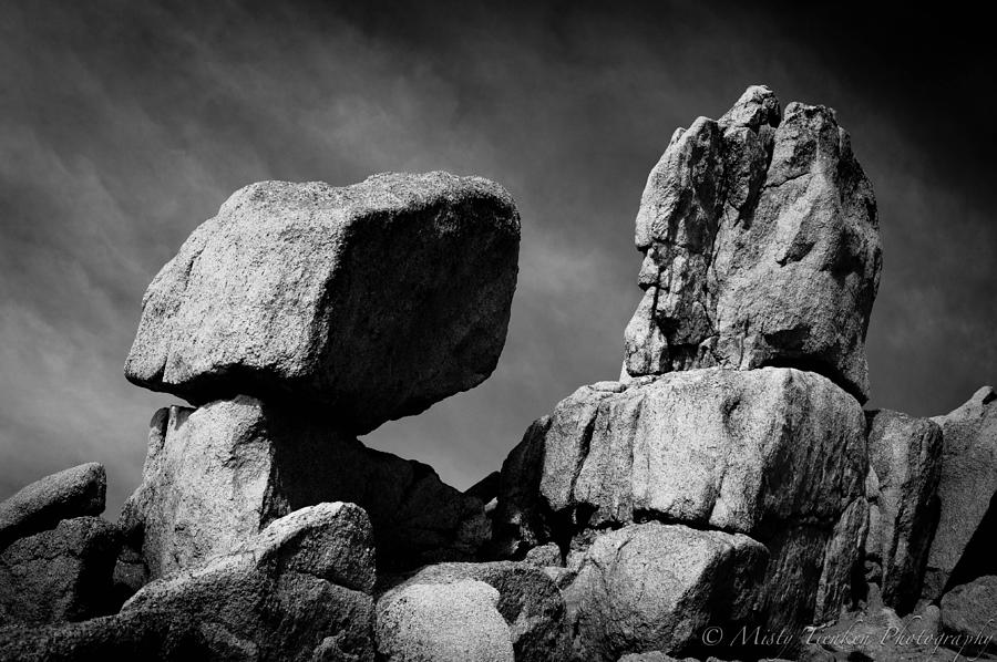 Climbing Boulders Photograph by Misty Tienken