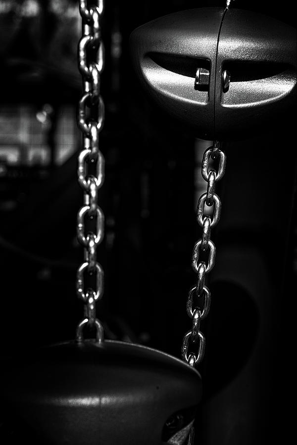 Climbing Chains Photograph by Richard Rizzo