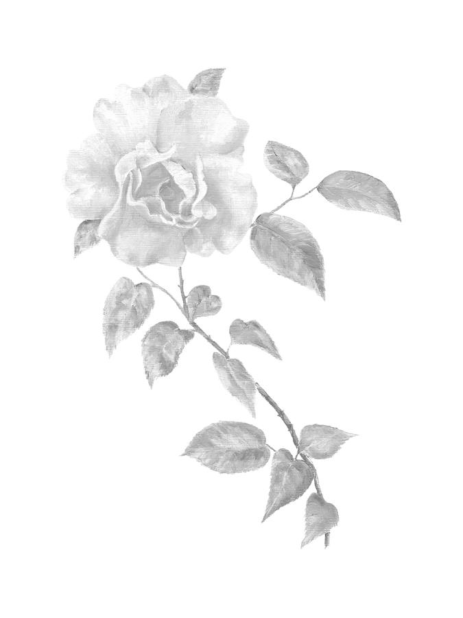 Climbing Rose II by Elizabeth Lock Climbing Rose II by Elizabeth Lock